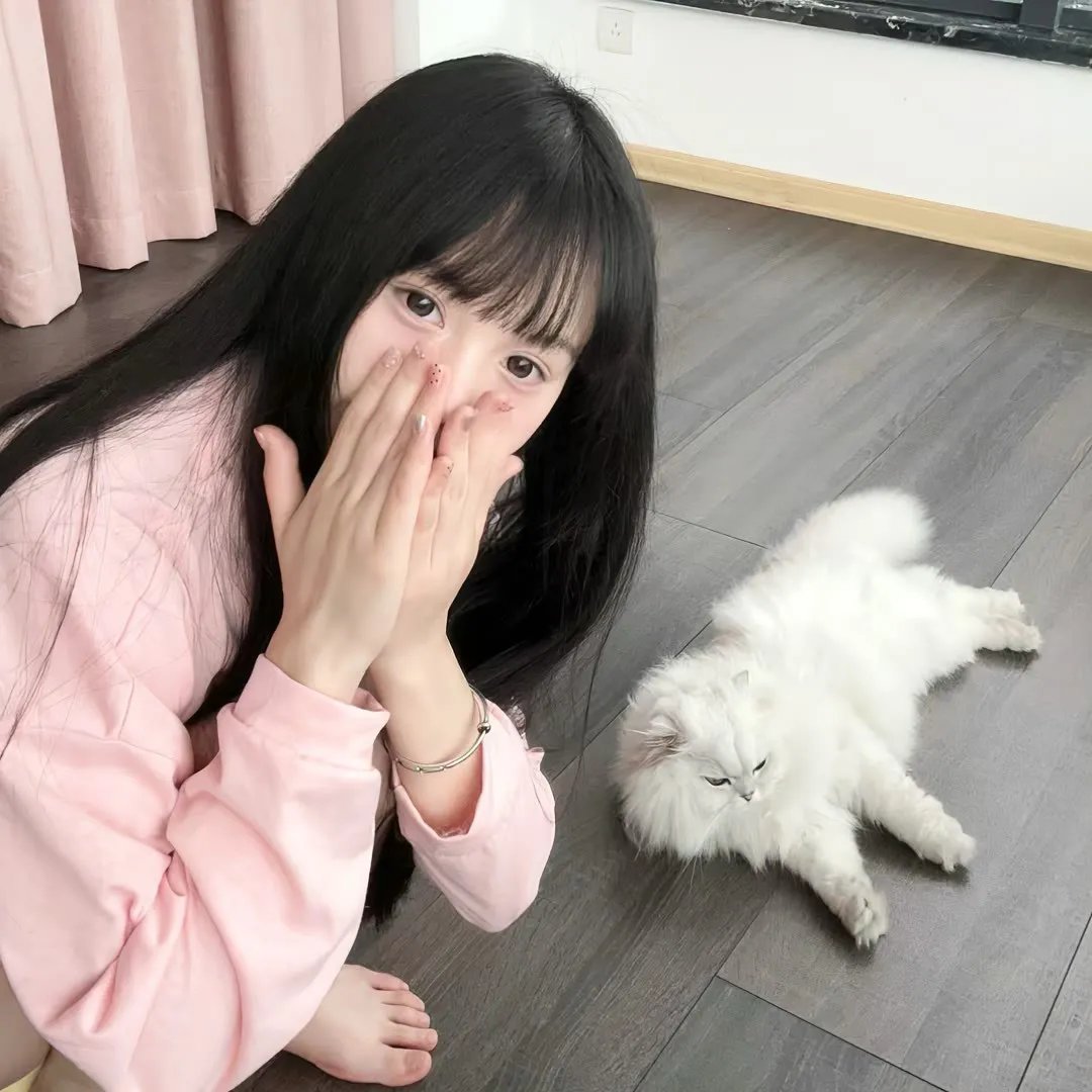 雄狗狗大冒险